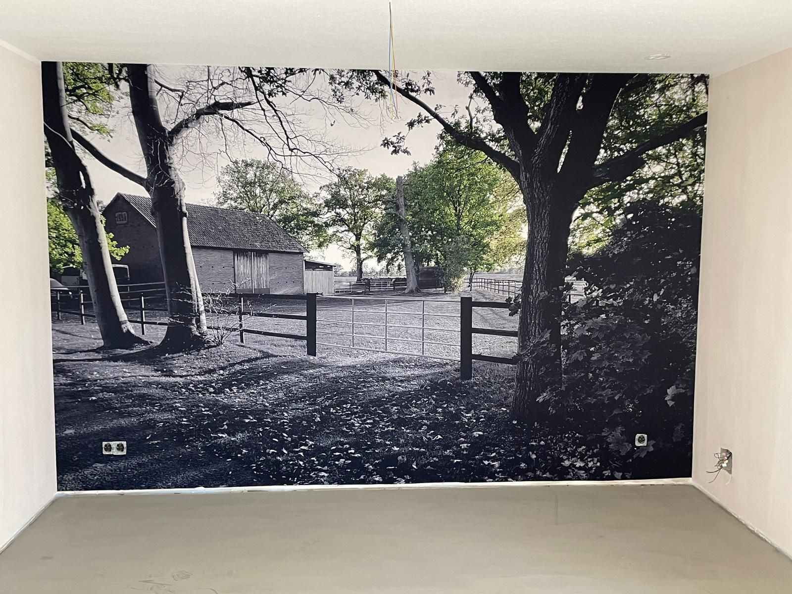Ein Schwarzweißfoto von Bäumen und einem Zaun an einer Wand