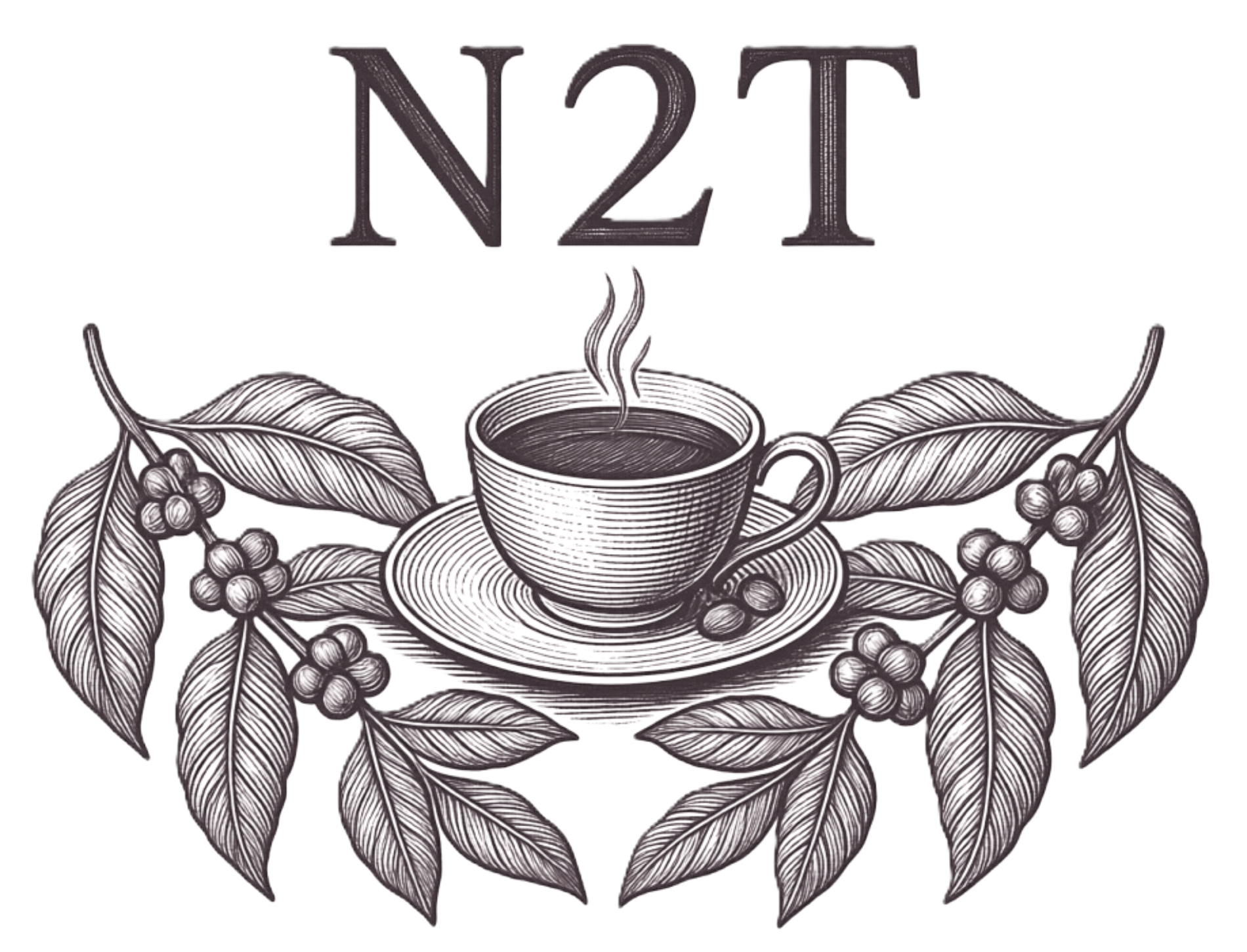 Logo N2T.
