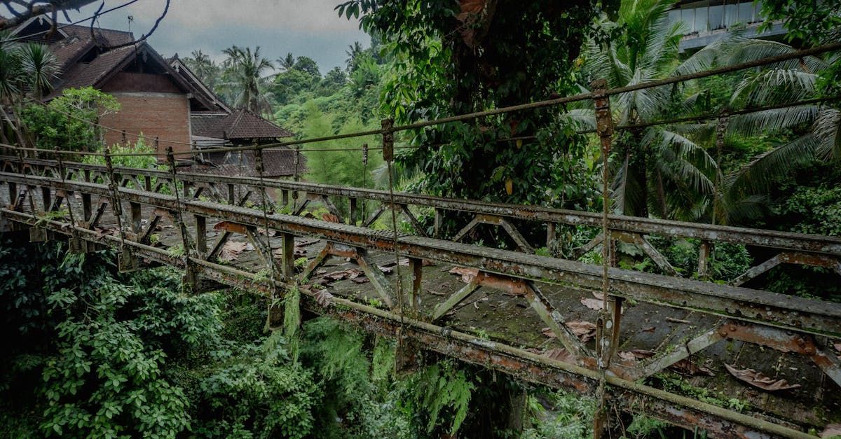 A wooden bridge over a river in the middle of a forest.