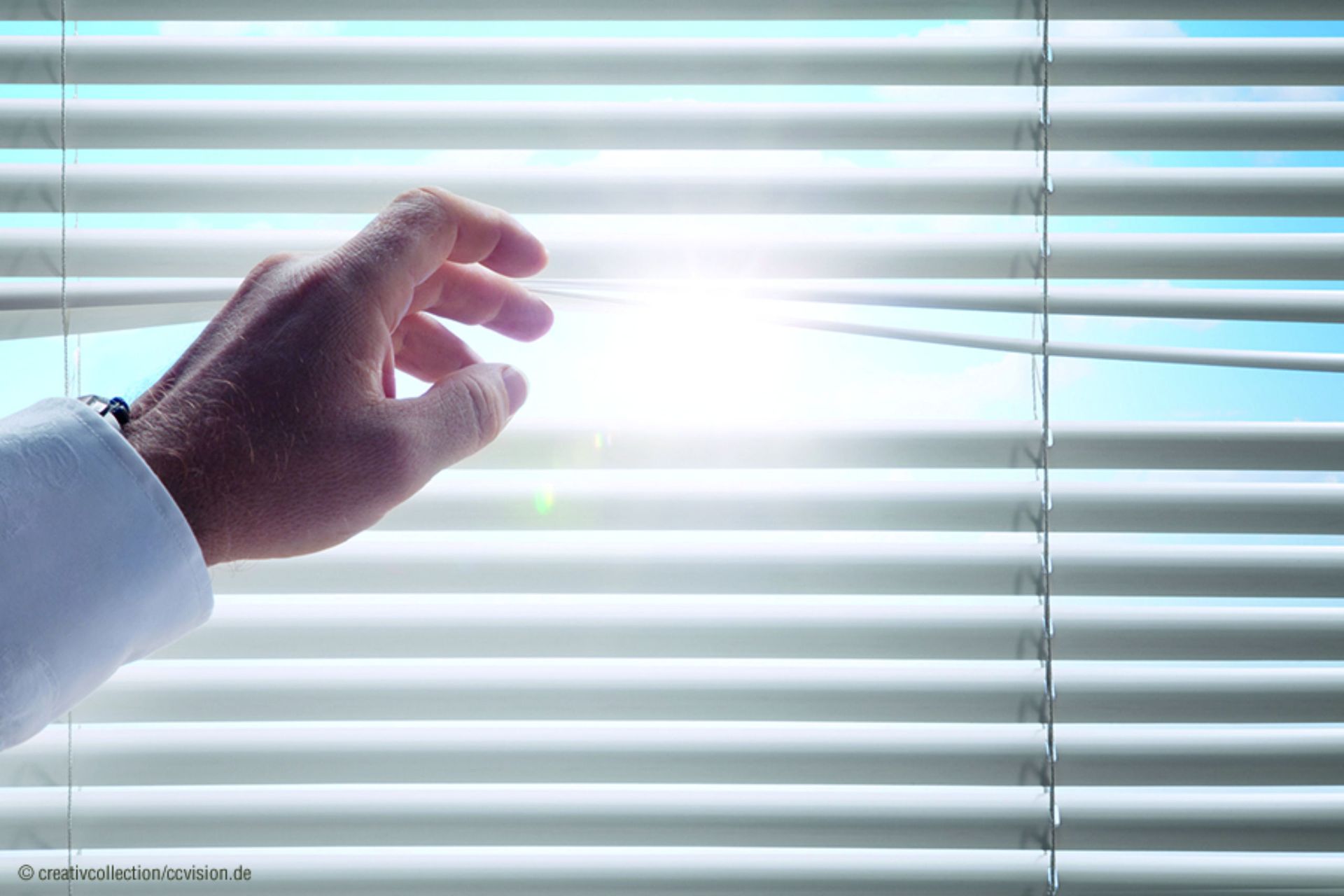 Fenster und Haustüren, Rollläden, Fensterglas, Sicherheitsglas, Schreinerarbeiten, Vordächer Firma Ariane, Überdachungen, Insektenschutz