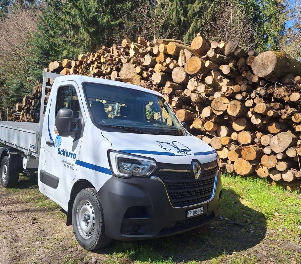 Ein weisser Lieferwagen von der Firma Schorro steht vor einem Stapel Baumstämme