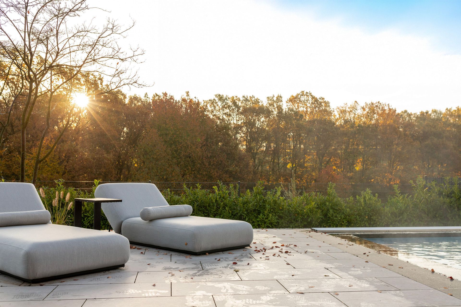 Baum, gepflanzt von Tirschmann Garten- und Landschaftsbau
