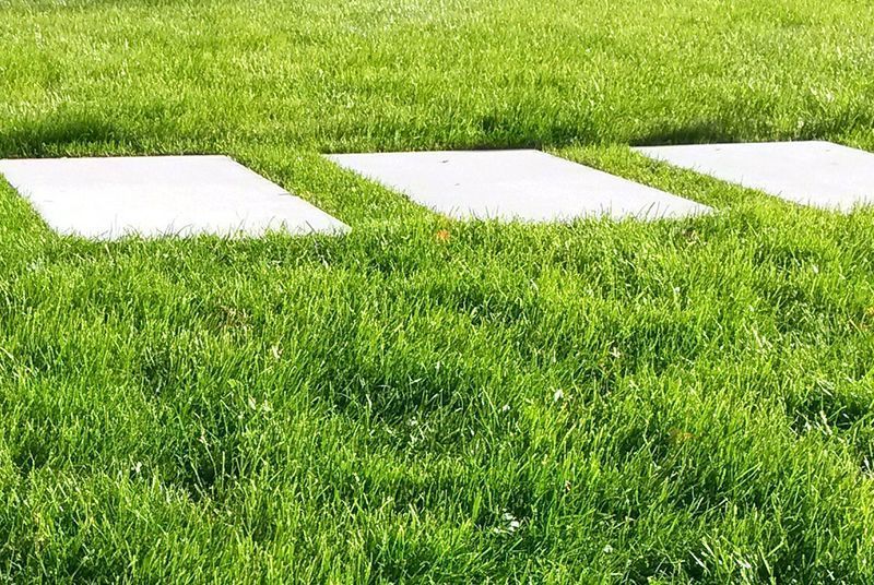 Von Tirschmann Garten- und Landschaftsbau angelegter Garten