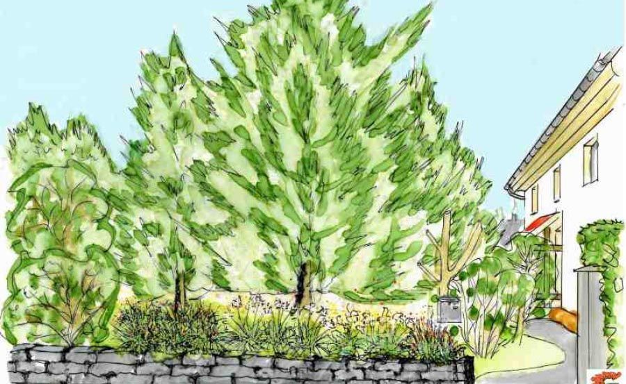 Planung eines Gartens durch Tirschmann Garten- und Landschaftsbau