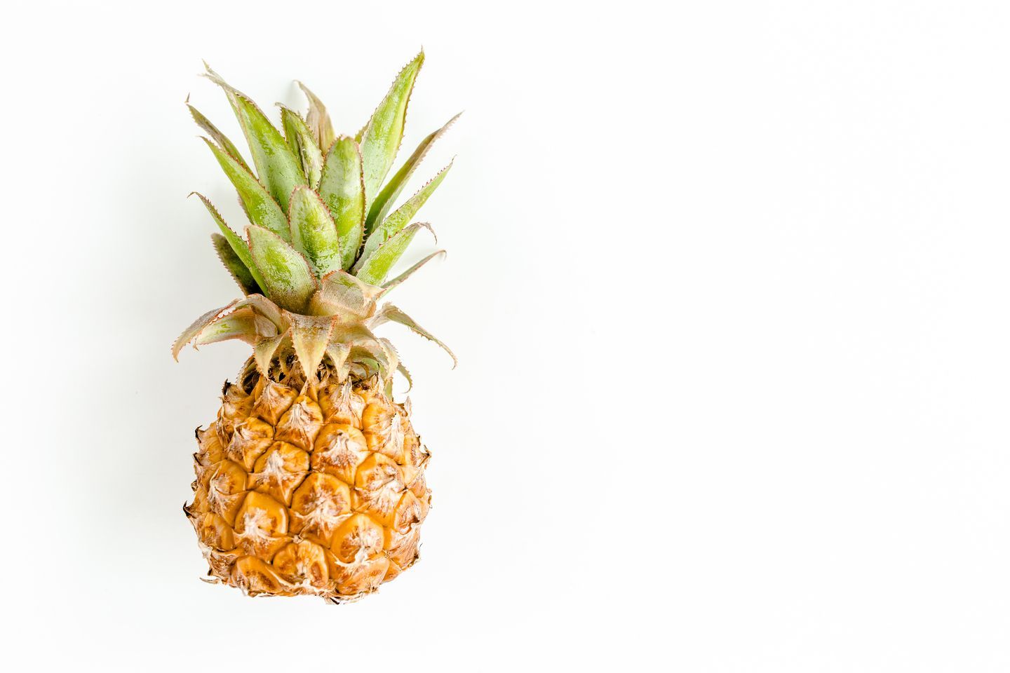 Una piña con hojas verdes sobre un fondo blanco.