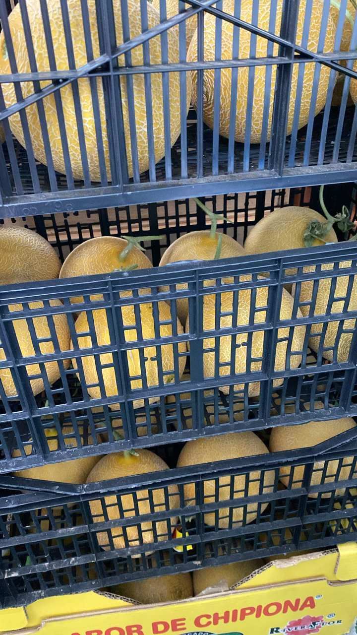 Un montón de melones están en una caja de plástico.