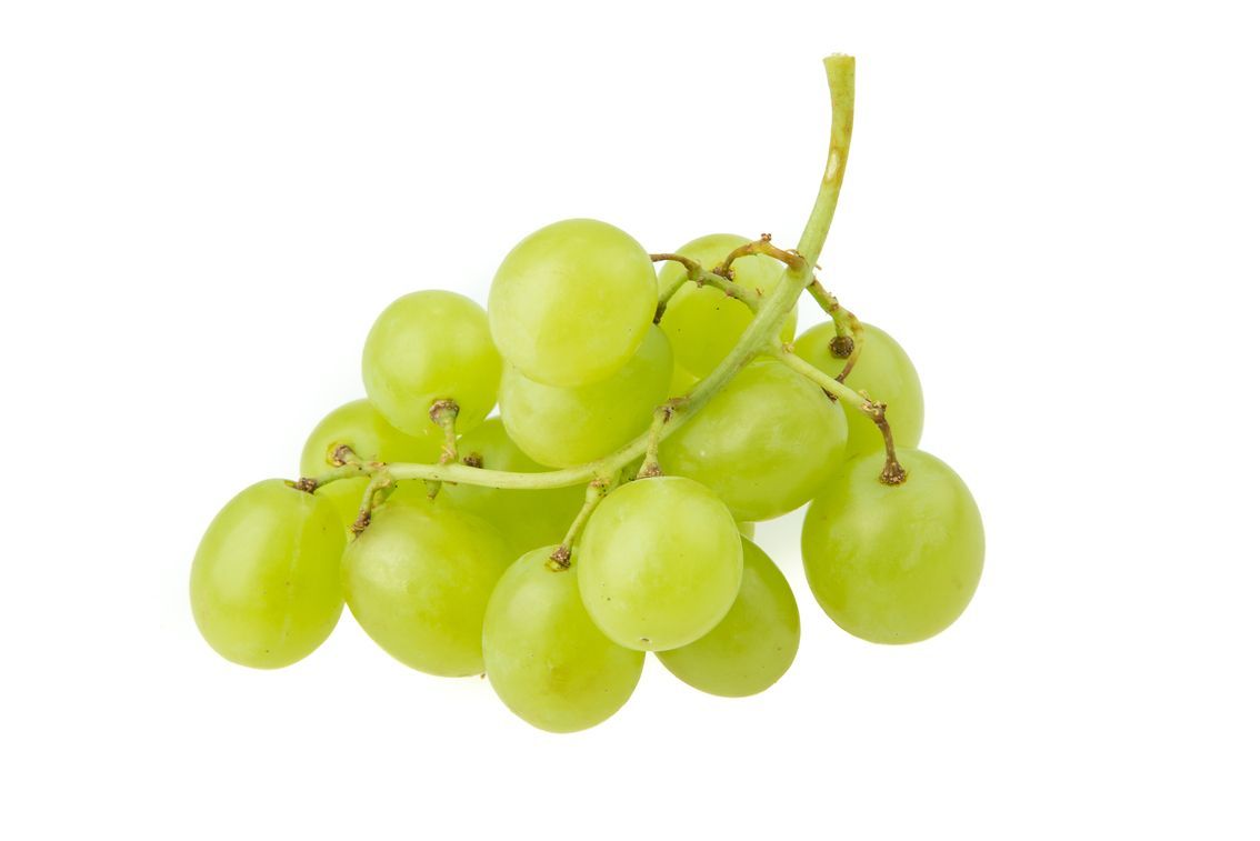Un racimo de uvas verdes colgando de una vid sobre un fondo blanco.