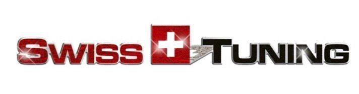 Ancona Carrosserie + Malerei