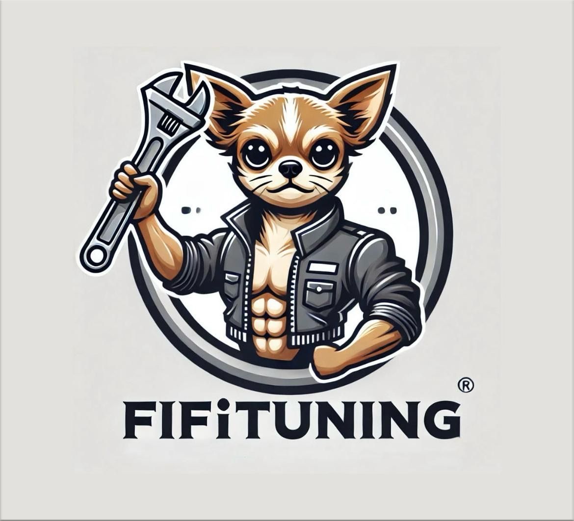 Ancona Carrosserie + Malerei