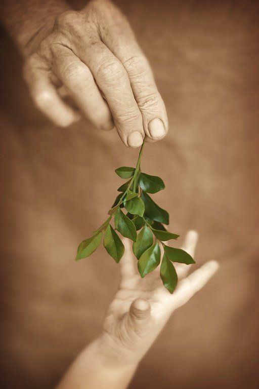Cabinet de médecines naturelles Ai-Do - équilibre