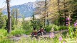 VTT Vars été