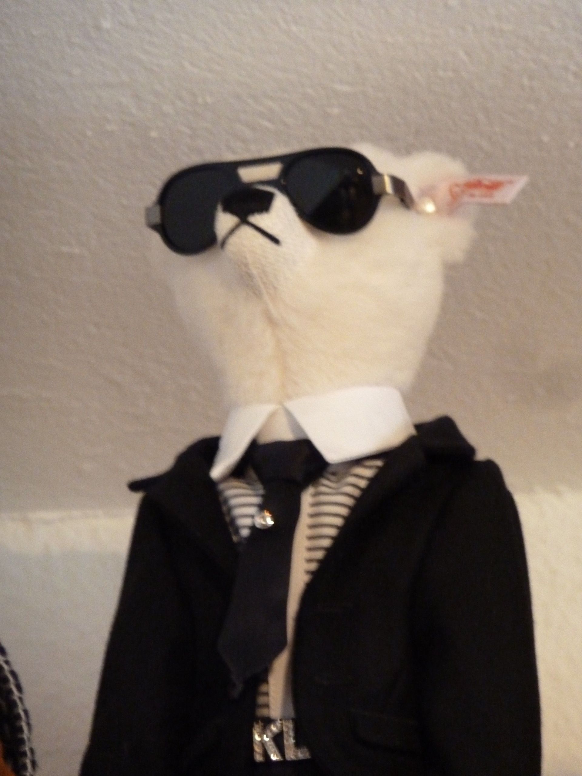 Peluche - Toy's World