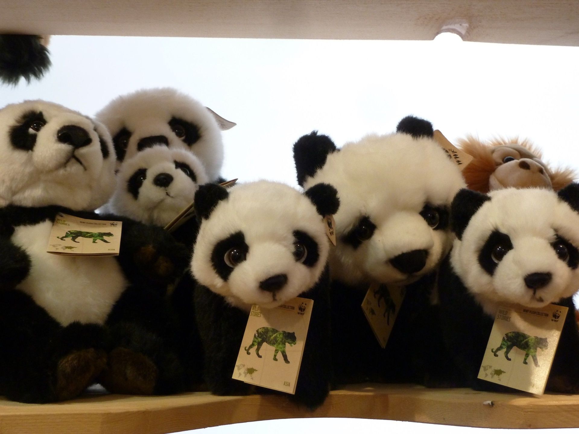 Peluches - Toy's World