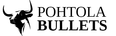 Pohtola Bullets