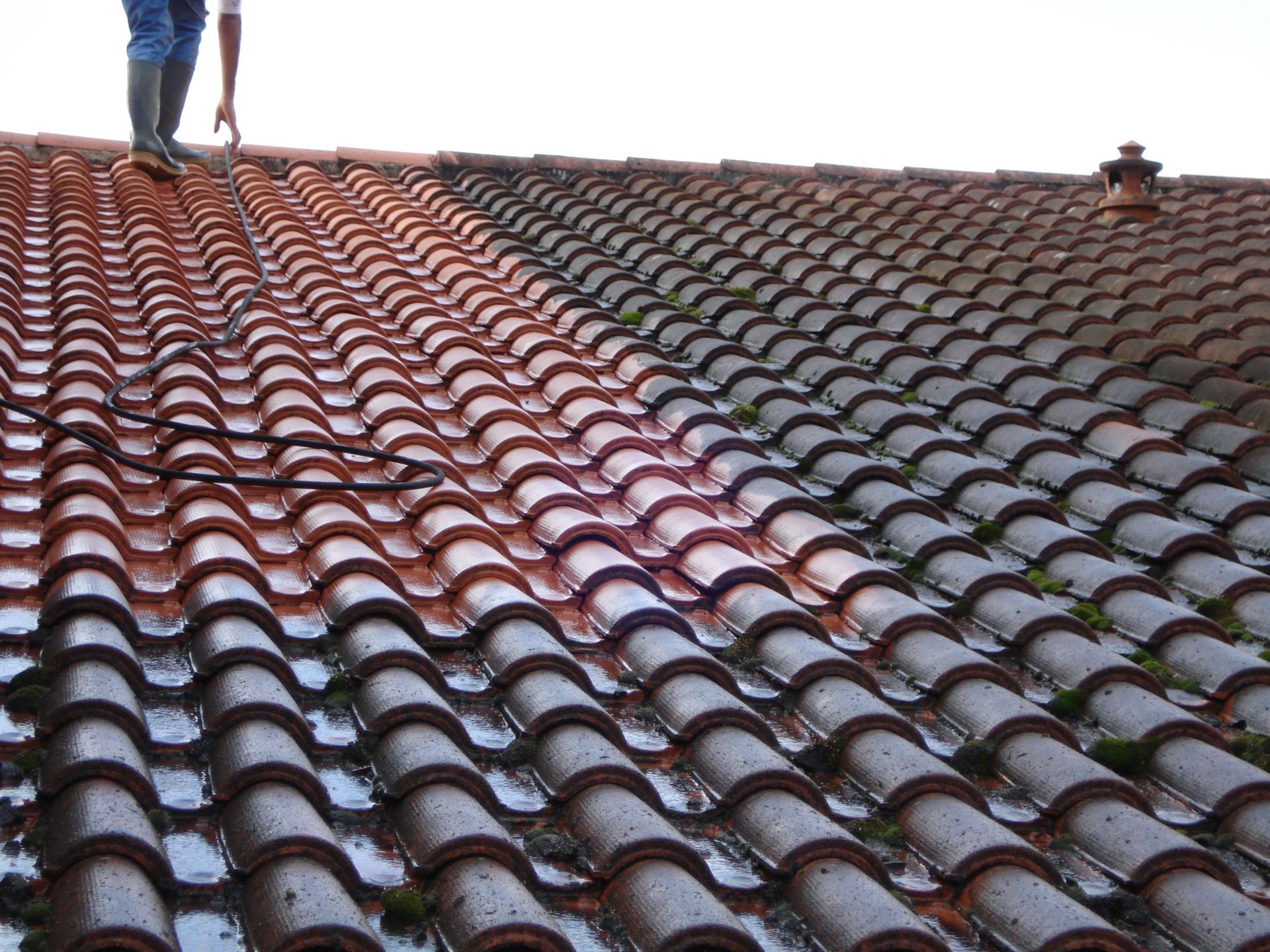 Toiture en cours de démoussage.