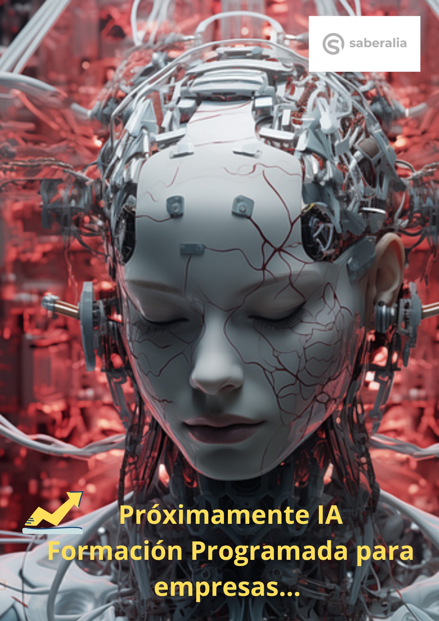 Curso: Inteligencia Artificial en la PYME 
Próximamente....
Formación bonificada/ programada para empresas.
Modalidad: Tele-formación 
Duración: 115 horas. 
Nivel de formación: Medio 
✅Dirigidos a: Profesionales pertenecientes a cualquier sector que deseen explorar las posibilidades tras incorporar la IA en el trabajo diario..
✅Descripción: El objetivo de este contenido es ofrecer ahorro de tiempo y esfuerzo sin menoscabar la calidad de los que lo hacen. Se trataran temas como los fundamentos e impactos de la IA, en las empresas, la tipología de soluciones IA para las empresas.
 Inscríbete:
Interesados contactar:
info@saberalia.com
https://saberalia.com/
móvil: 629 17 20 53