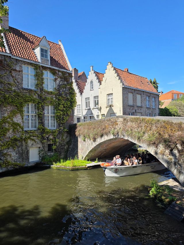 Groenerei, Bruges
