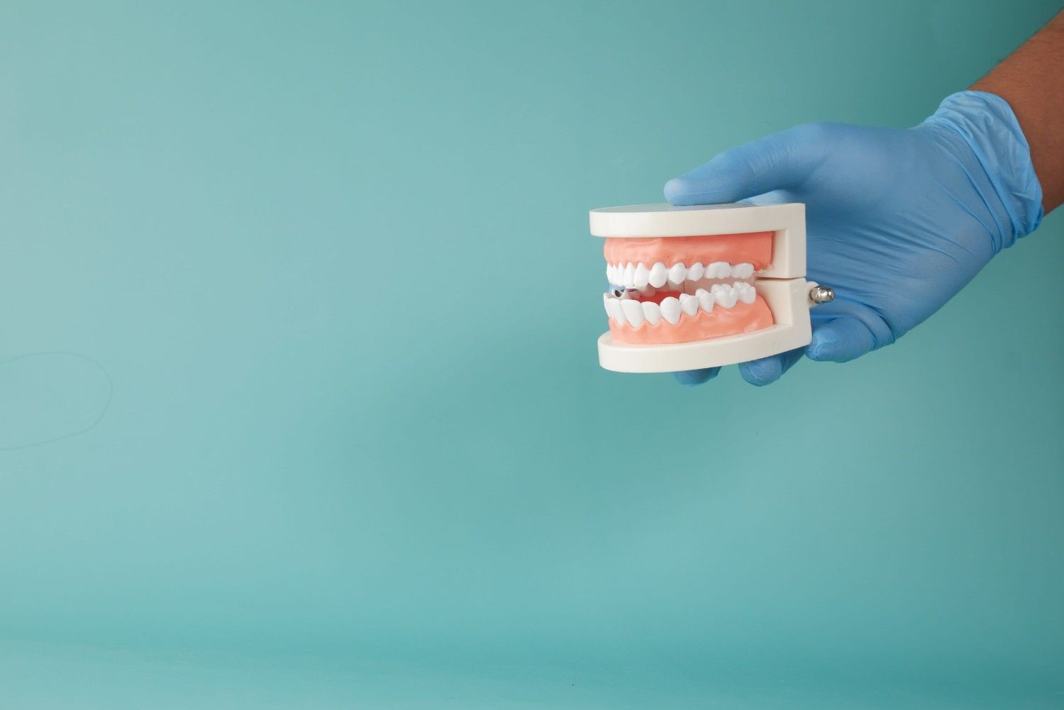 Mano enguantada sosteniendo un modelo dental rosa sobre un fondo verde azulado.