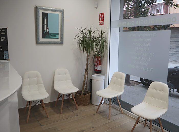 Sala de espera luminosa con cuatro sillas blancas, una planta en maceta, un cuadro enmarcado y una puerta de cristal.