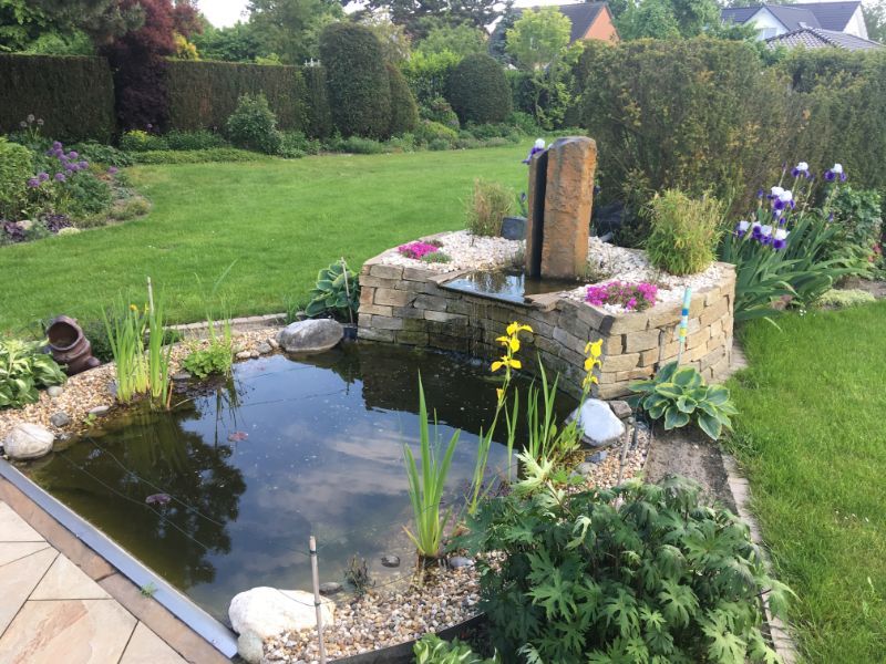 Teich neben Blumen