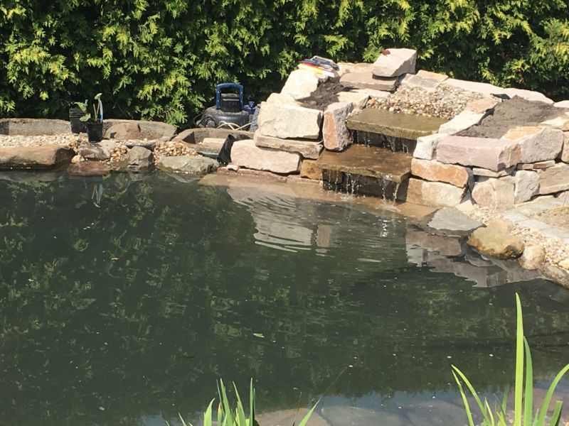 Wasserspiel im Gartenteich