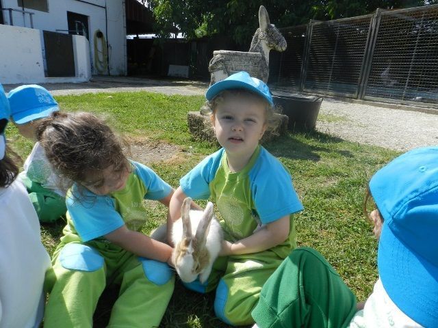 Un grupo de niños está jugando con un conejo blanco.
