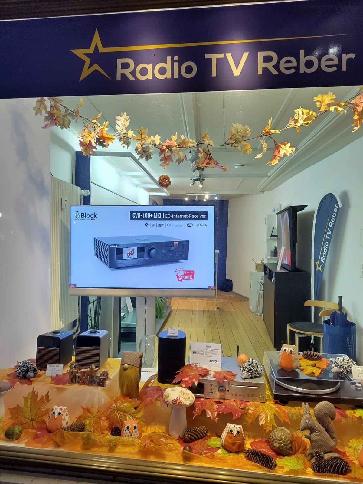 Zwei Männer in Arbeitskleidung montieren einen großen Fernseher an einer modernen Schrankwand in einem Wohnzimmer.