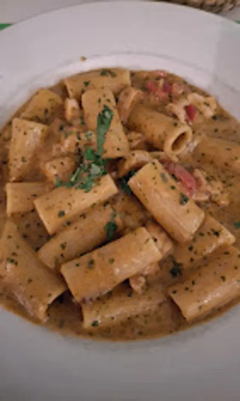 Pasta rigatoni en salsa cremosa de naranja, adornada con hierbas en un plato blanco.
