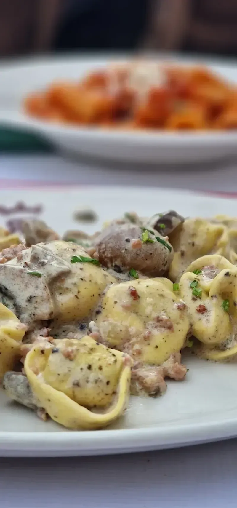Plato de tortellini con salsa de champiñones y un plato de pasta roja borroso al fondo.