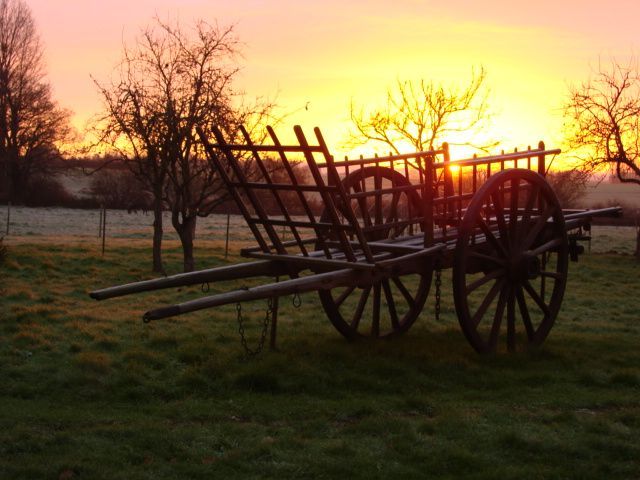 Charrette en bois dans un jardin vue lors d'un coucher de soleil