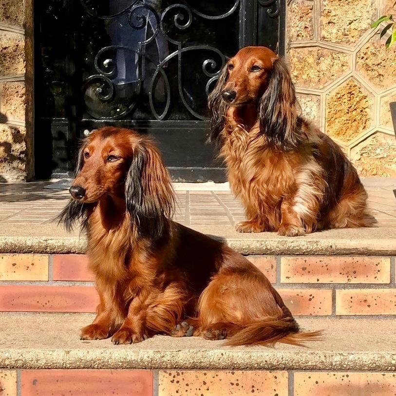Nina et Pauline sur les marches