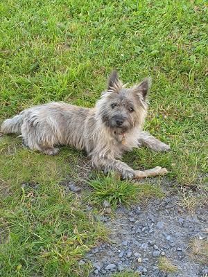 Kaly dans le jardin