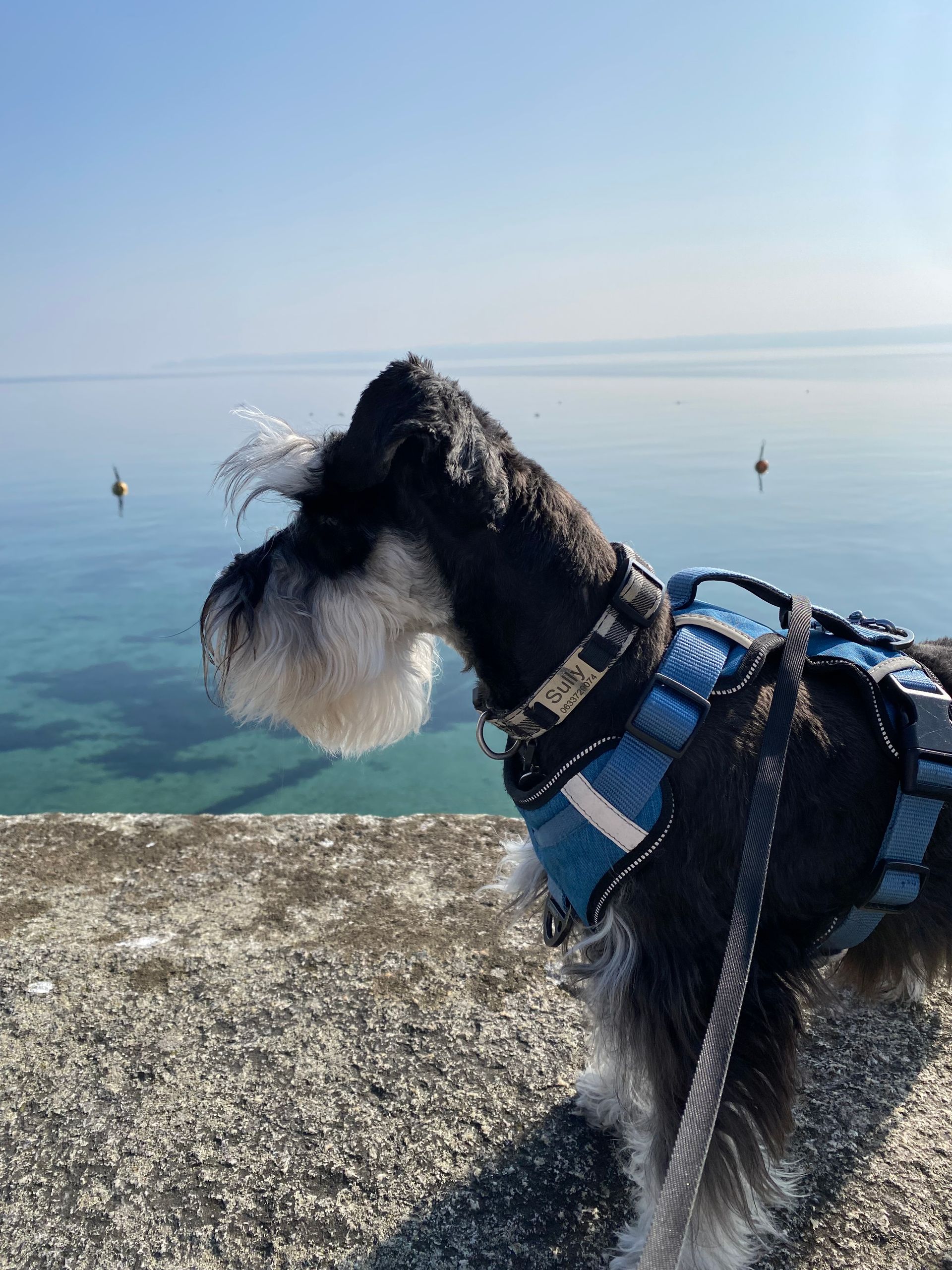 Sully à la mer  - La Ferme des Hallais à Tours
