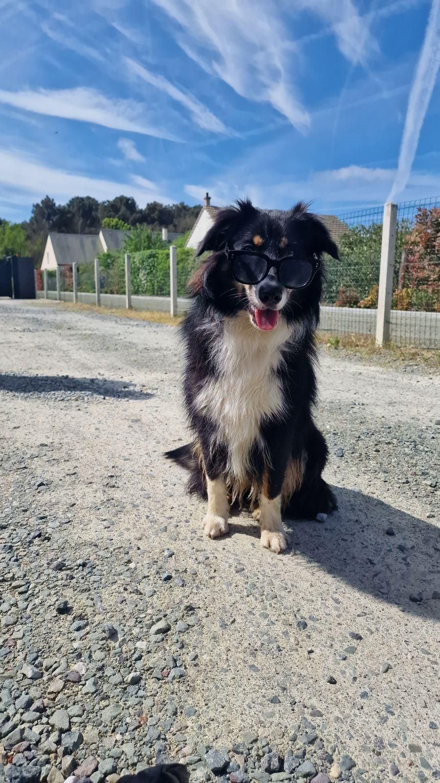Nala en sortie