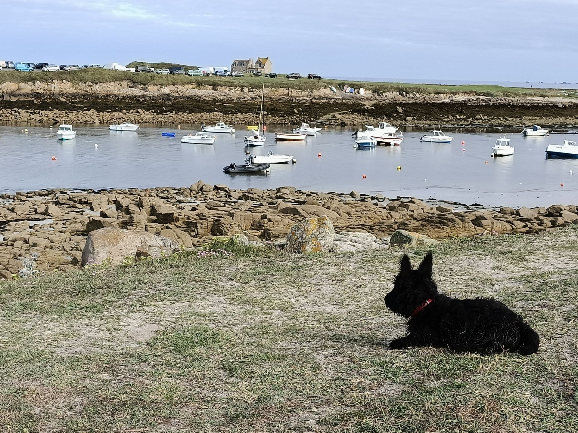 Virgil sur la plage - La Ferme des Hallais à Tours