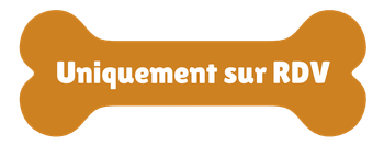 Forme d'un os avec du texte dessus, uniquement sur rendez-vous