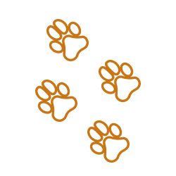 Picto de traces d'empreintes de chien