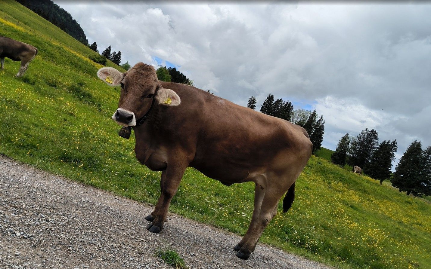 Das Bild zeig die  Inspration für unsere Namensgebung der Ferienwohnungen