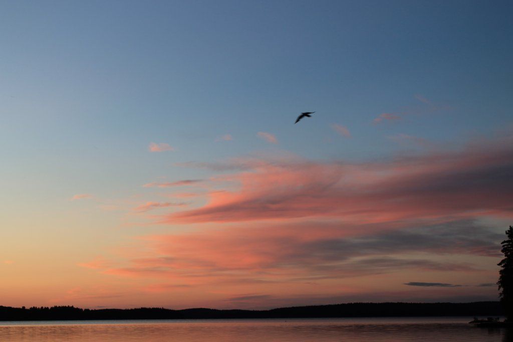 Carlanja
Ihre Blockhausferien in Finnland