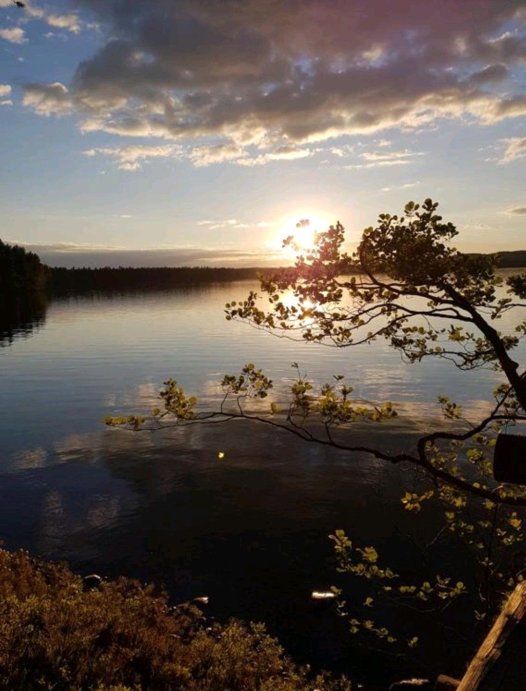 Carlanja
Ihre Blockhausferien in Finnland