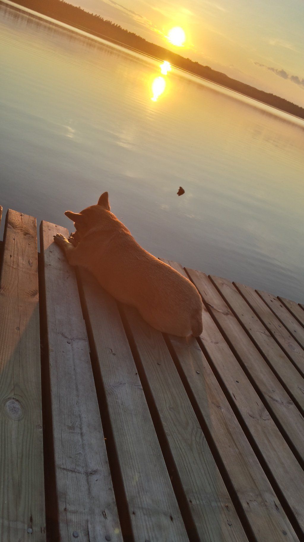 Carlanja
Ihre Blockhausferien in Finnland