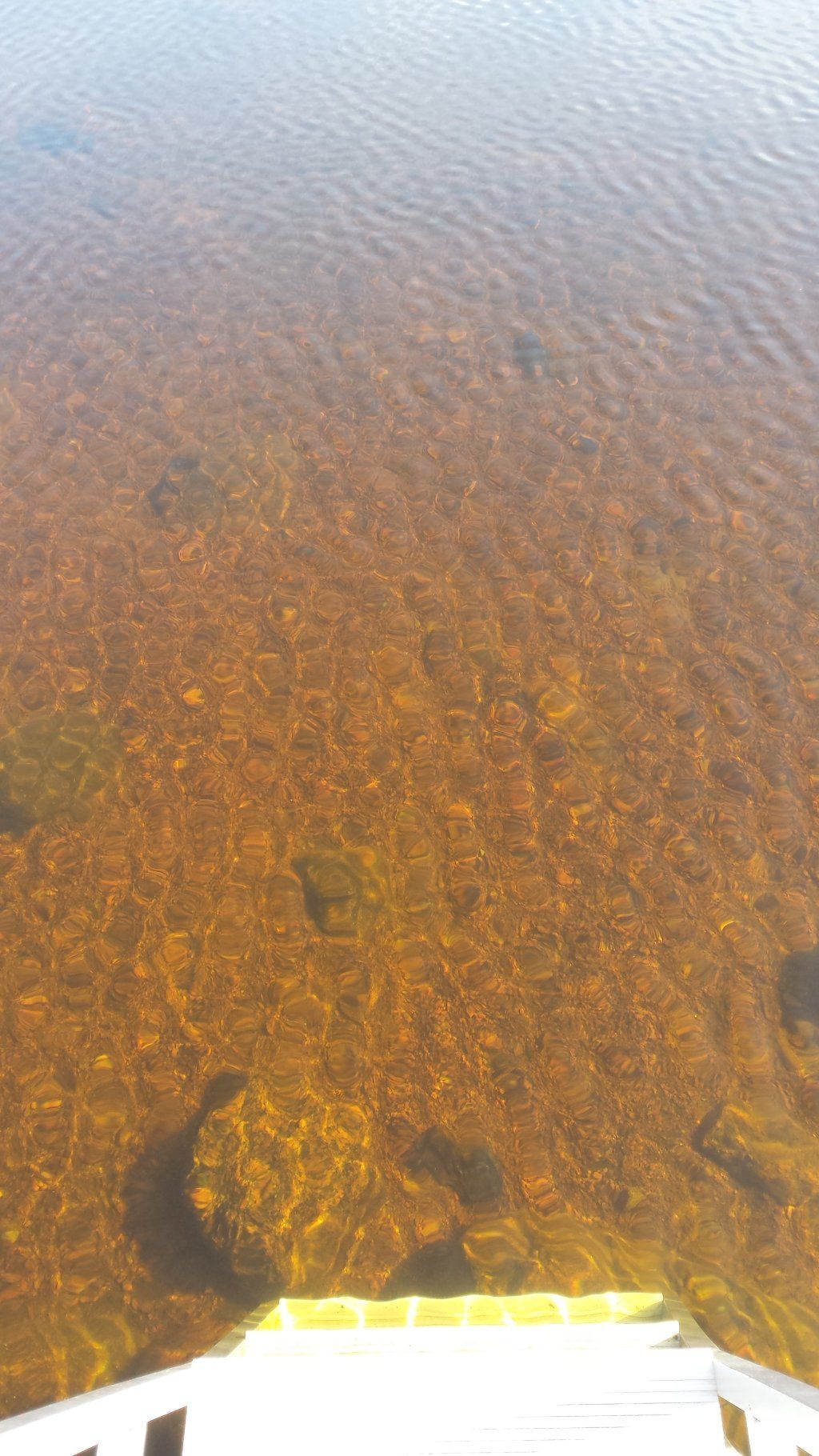 Carlanja
Ihre Blockhausferien in Finnland