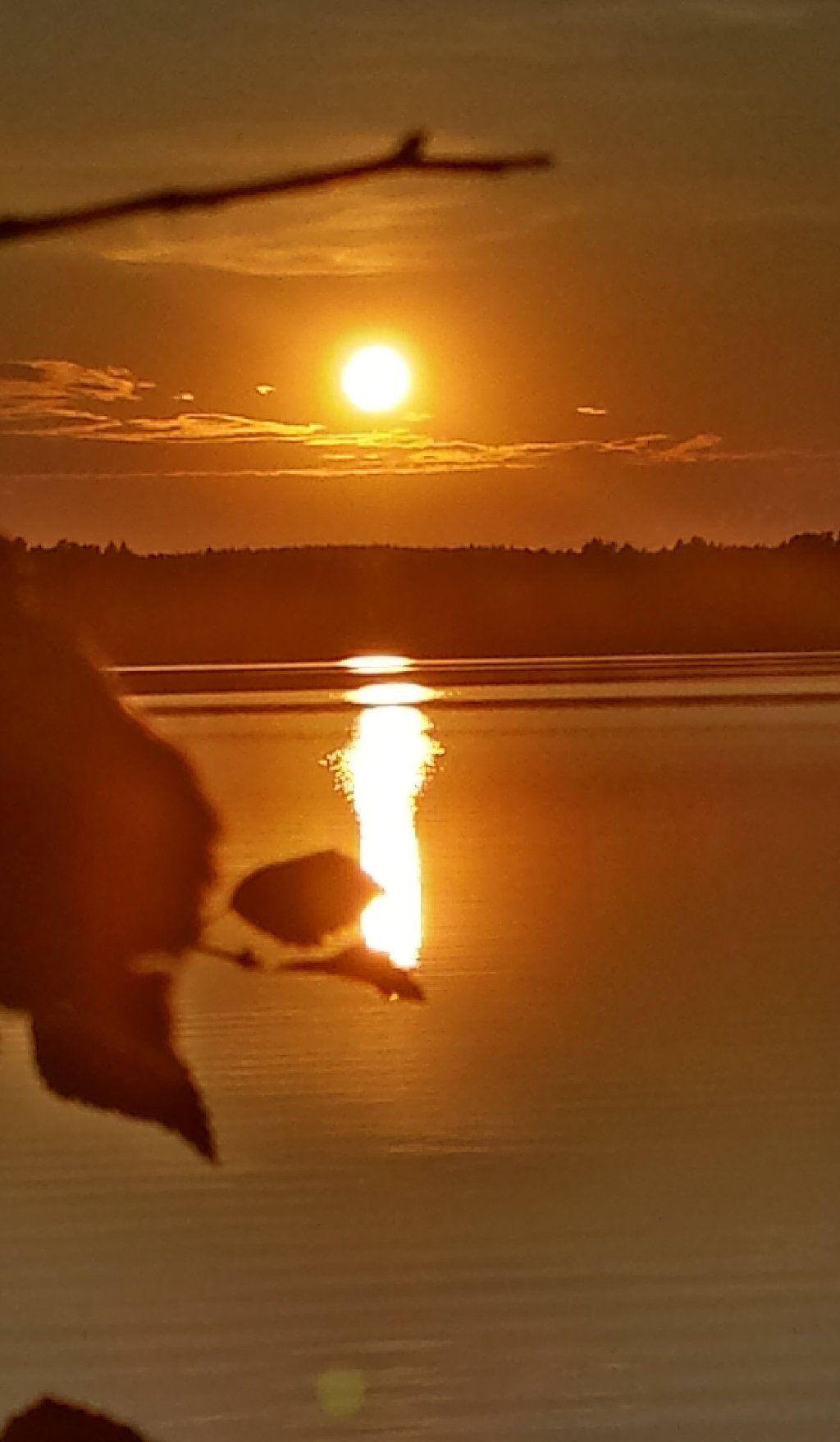 Carlanja
Ihre Blockhausferien in Finnland