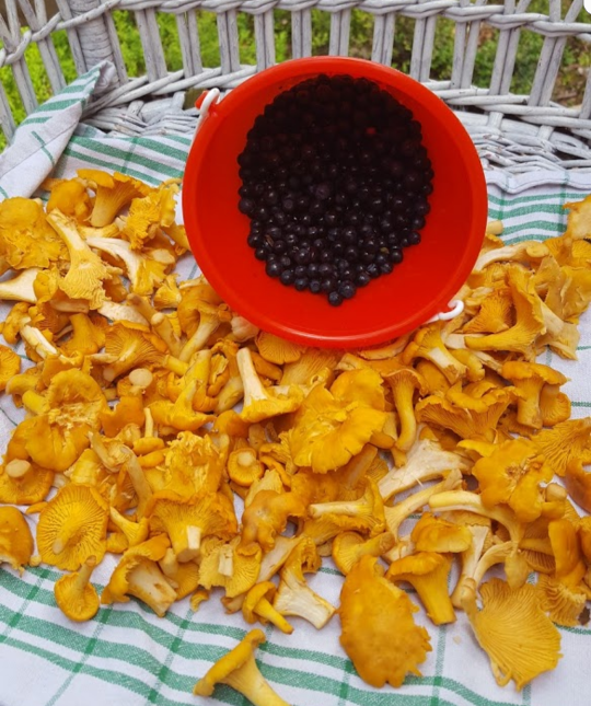 Carlanja
Ihre Blockhausferien in Finnland