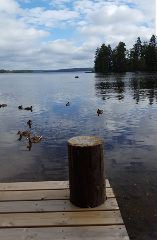 Carlanja
Ihre Blockhausferien in Finnland