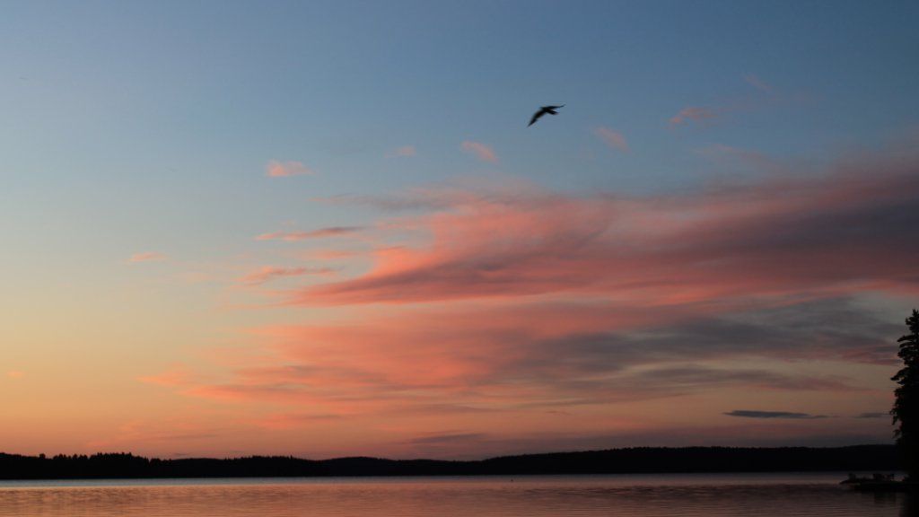 Carlanja
Ihre Blockhausferien in Finnland