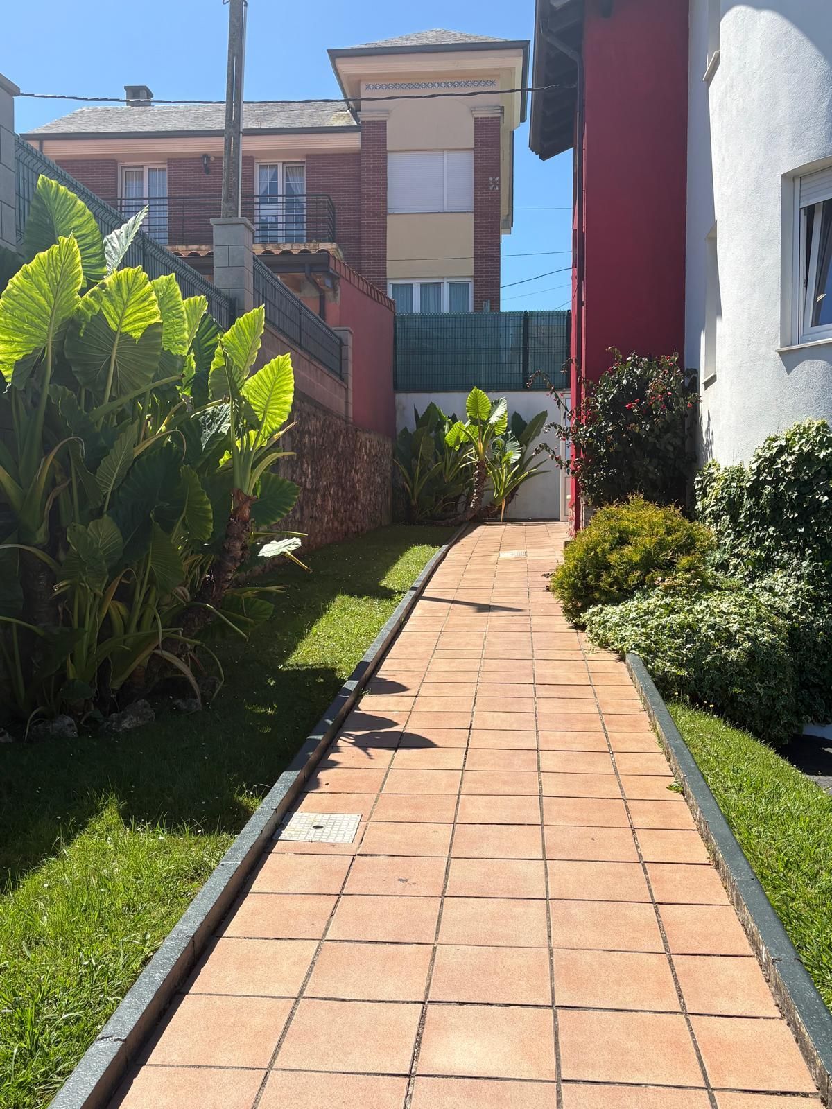 Un estrecho sendero de ladrillos entre plantas verdes y una pared blanca conduce a un edificio bañado por la luz del sol.
