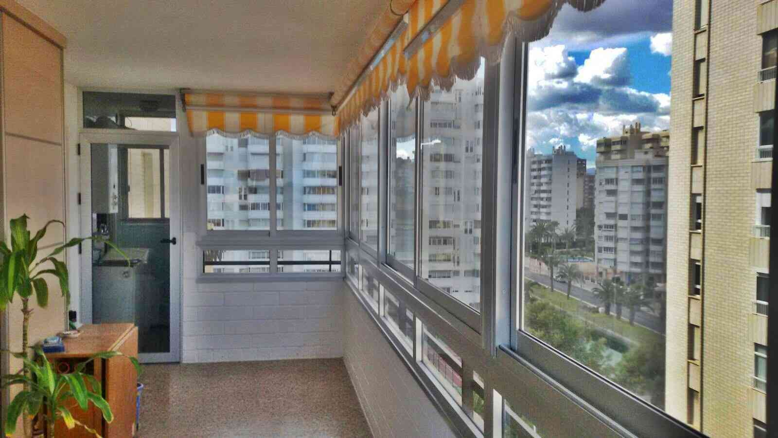 Una habitación con muchas ventanas y una planta.