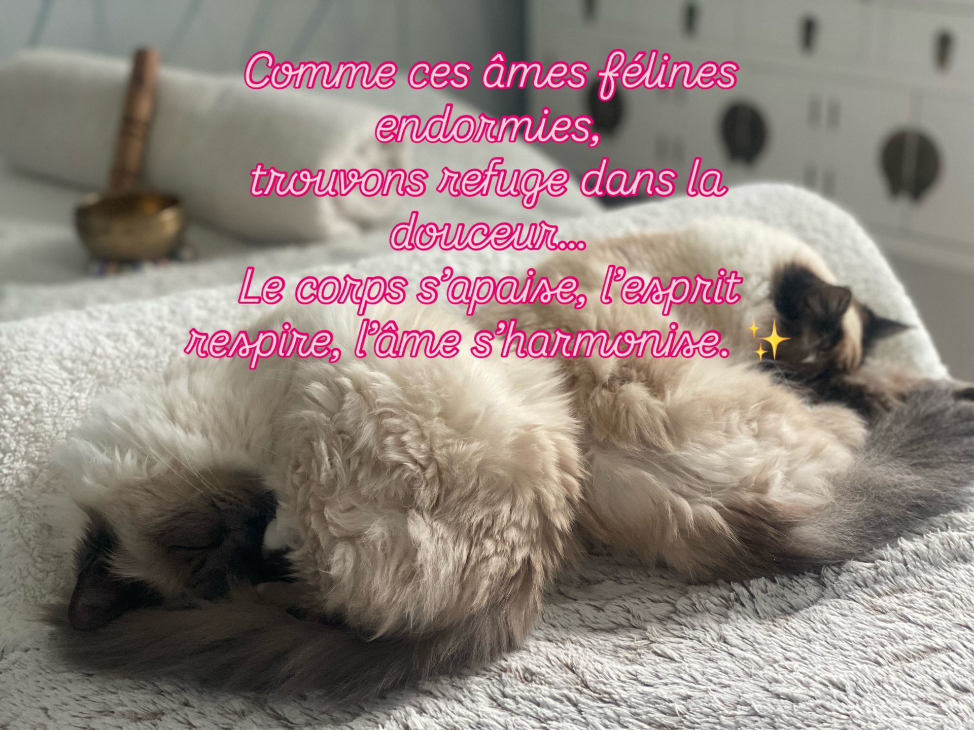 Décoration de relaxation