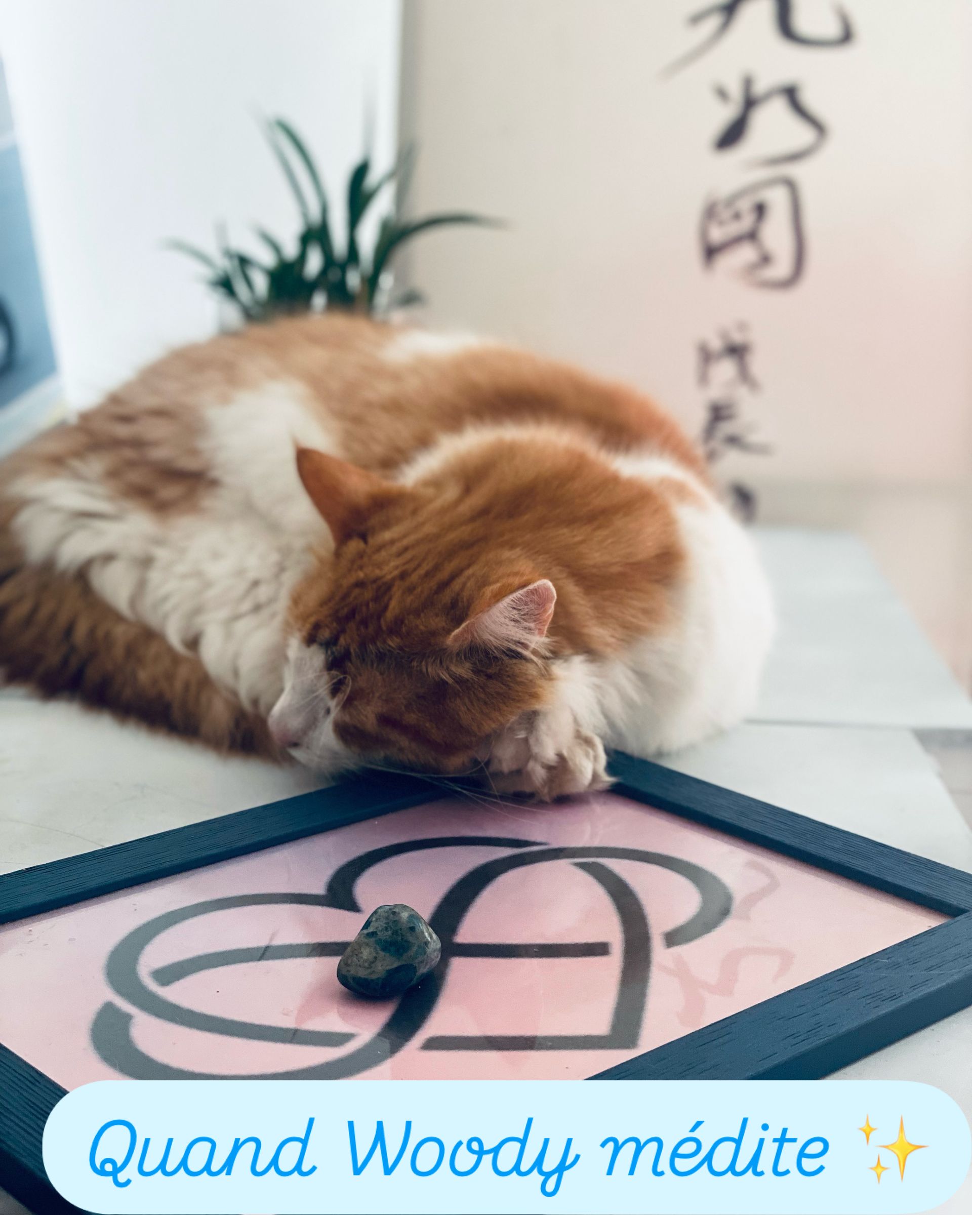 Client prêt pour un massage
